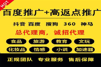 某电商平台的SEM推广实践与效果展示